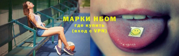 гидра Аркадак