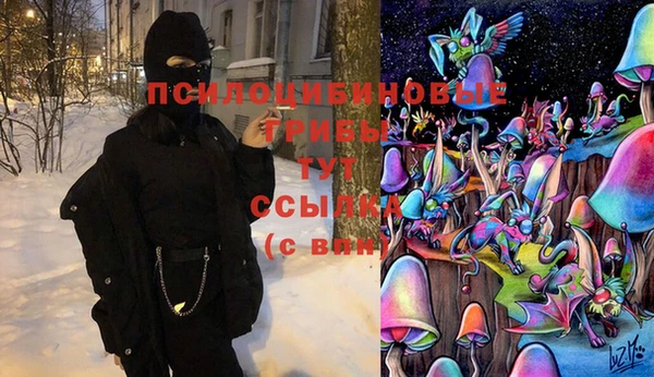 гидра Аркадак