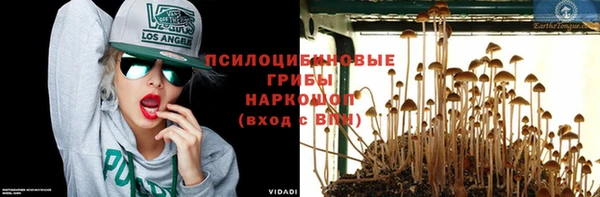 СК Алексеевка